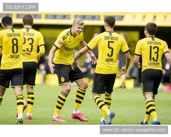 曾经风光如今落魄这些德甲球队的兴衰实录 曾经风光如今落魄这些德甲球队的兴衰实录