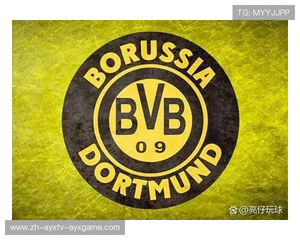 德甲历史上使用过的足球球队及其发展轨迹 德甲历史上使用过的足球球队及其发展轨迹