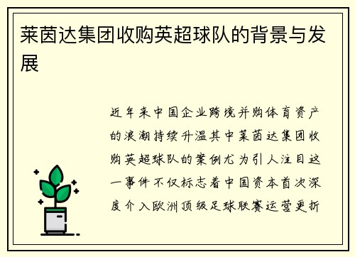 莱茵达集团收购英超球队的背景与发展