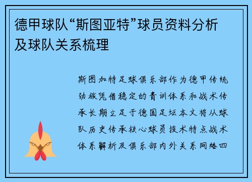 德甲球队“斯图亚特”球员资料分析及球队关系梳理